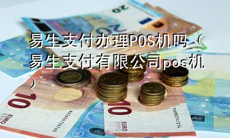 易生支付办理POS机吗（易生支付有限公司pos机）