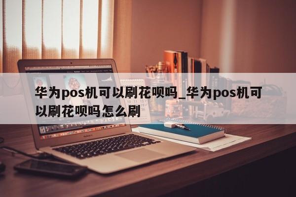 pos机风险交易是什么意思_poss机风险交易_易生支付pos机有风险吗